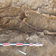 Image for article titled Skeletons Found In Ancient Cemetery Still Have Shackles On Their Necks